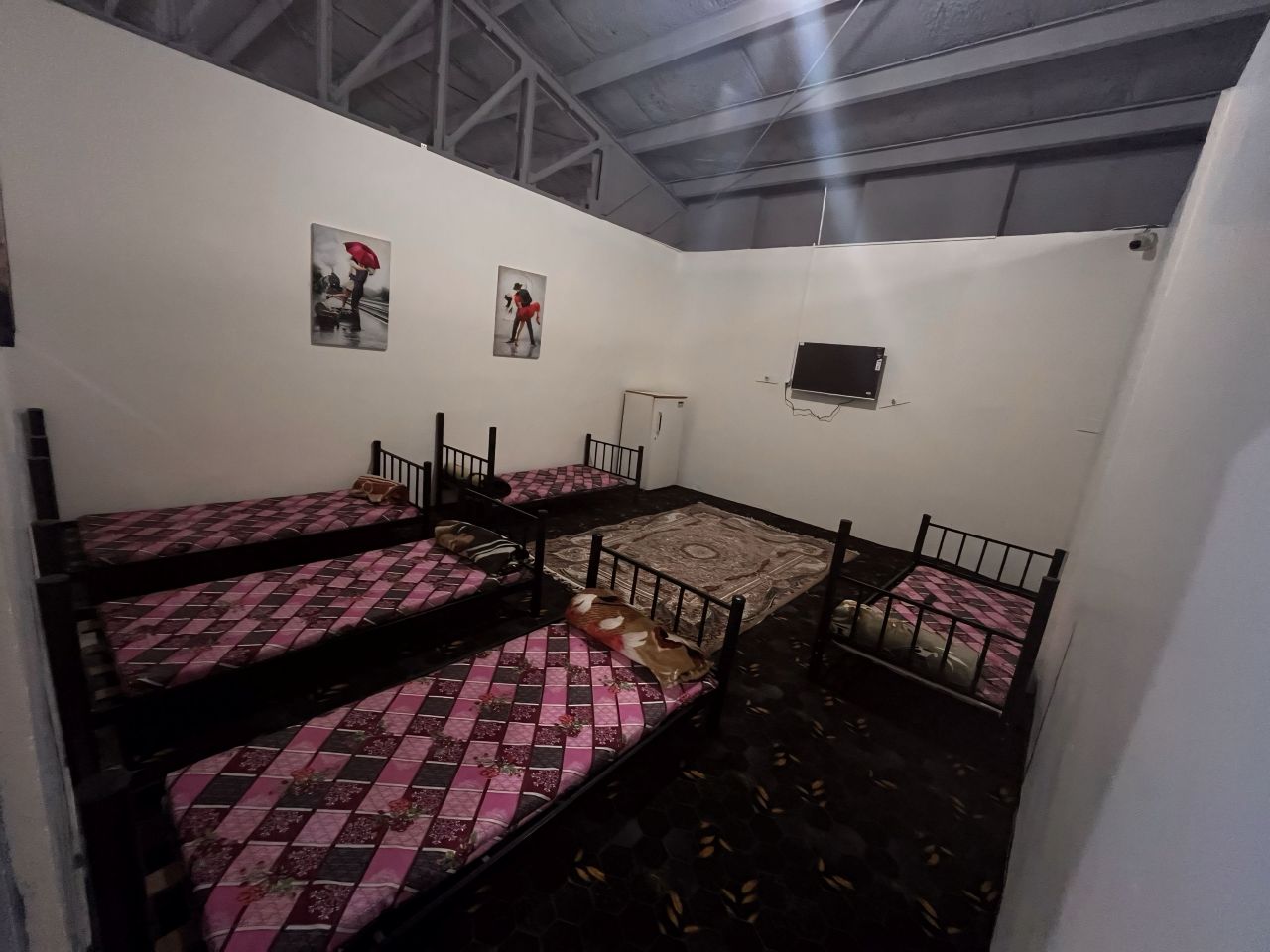 کمپ ترک اعتیاد الیار